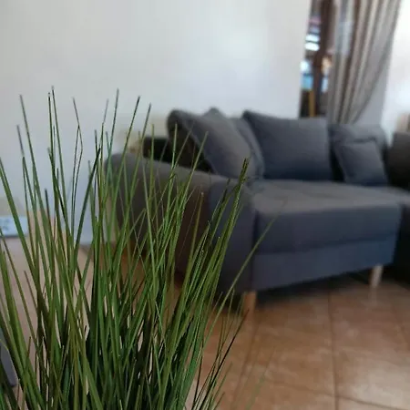 Apartment Tea Preko Exterior photo